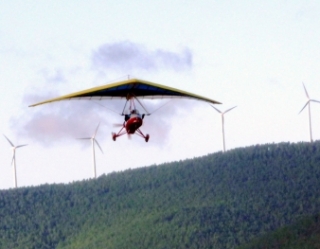 Vuelo en pendular